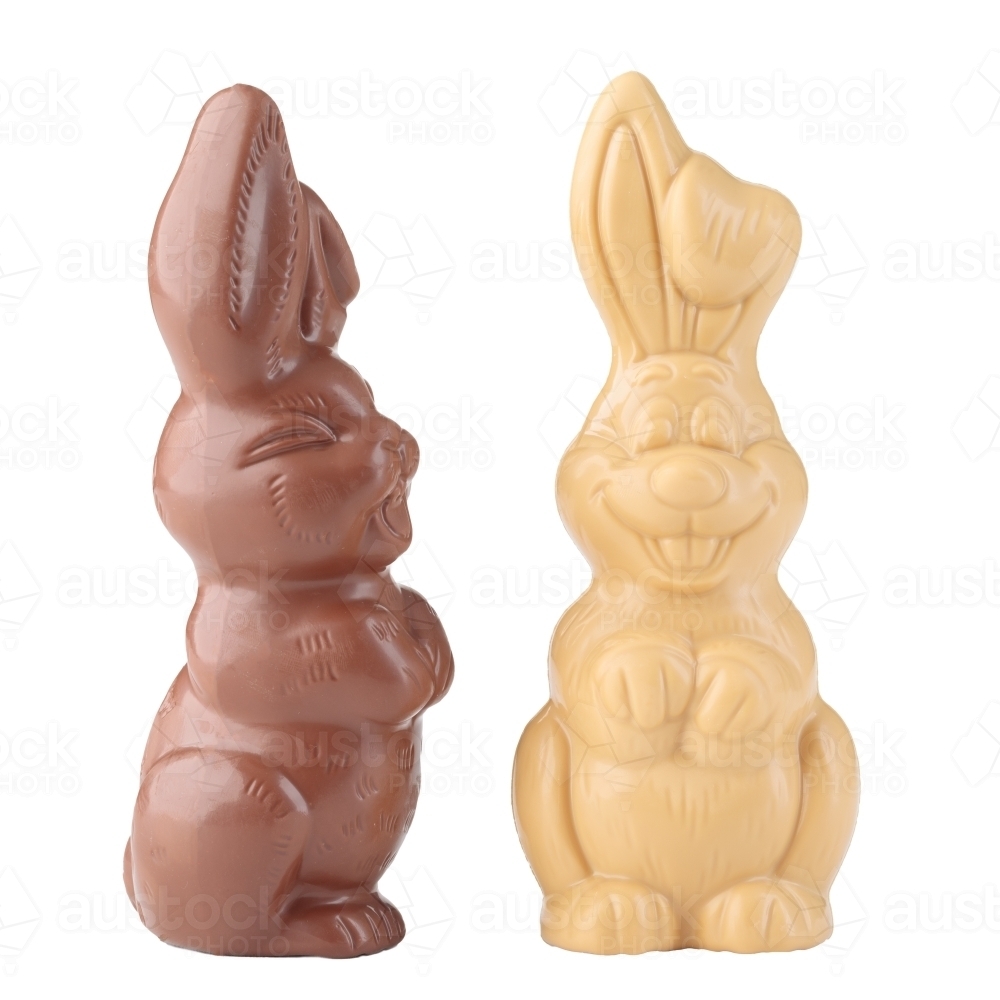 Easter chocolate bunnies on white background - Australian Stock Image