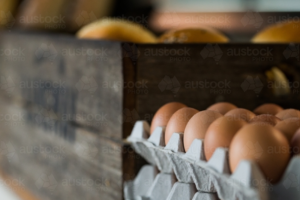 Eggs in an egg carton - Australian Stock Image