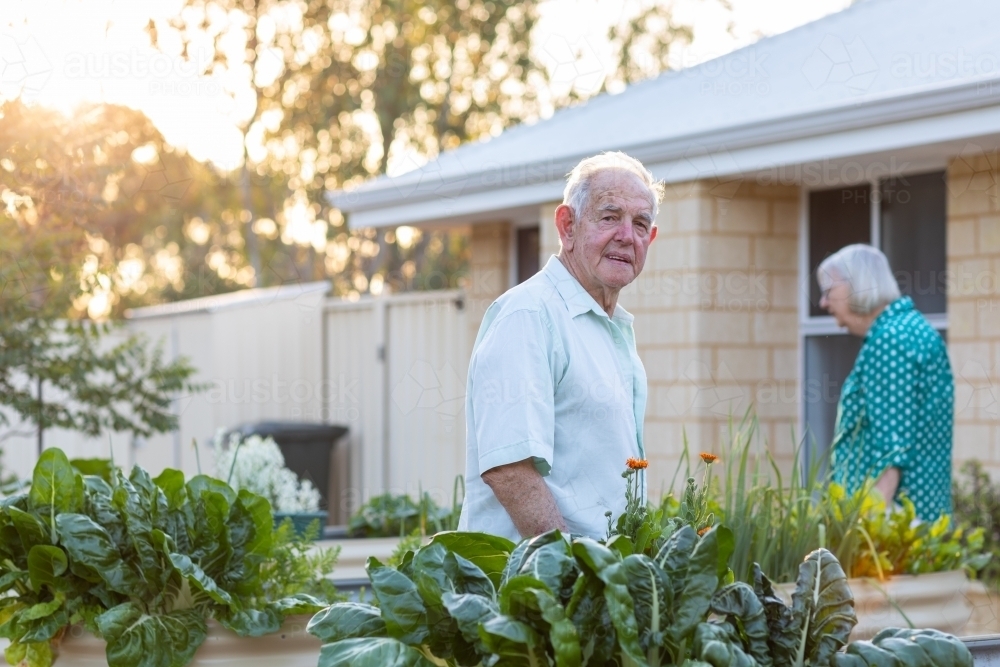 elderly couple in their suburban back garden - Australian Stock Image