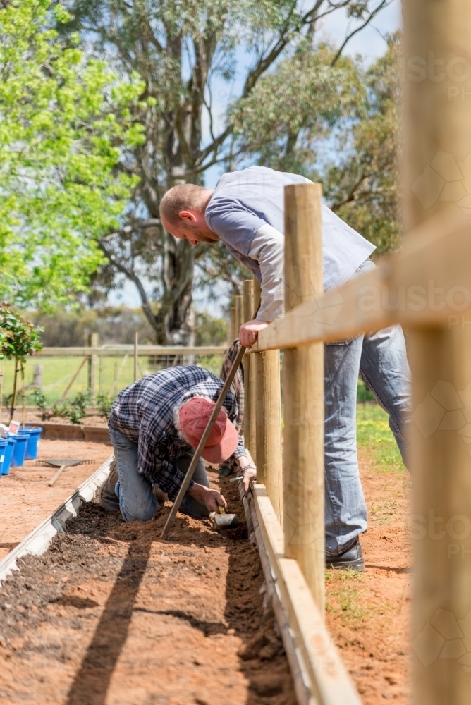 Elderly Father and Adult Son Building Fence - Australian Stock Image