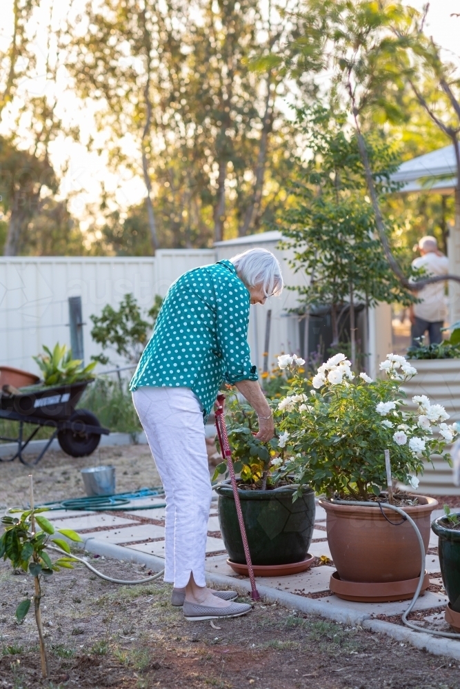 elderly woman with walking stick in home  garden - Australian Stock Image