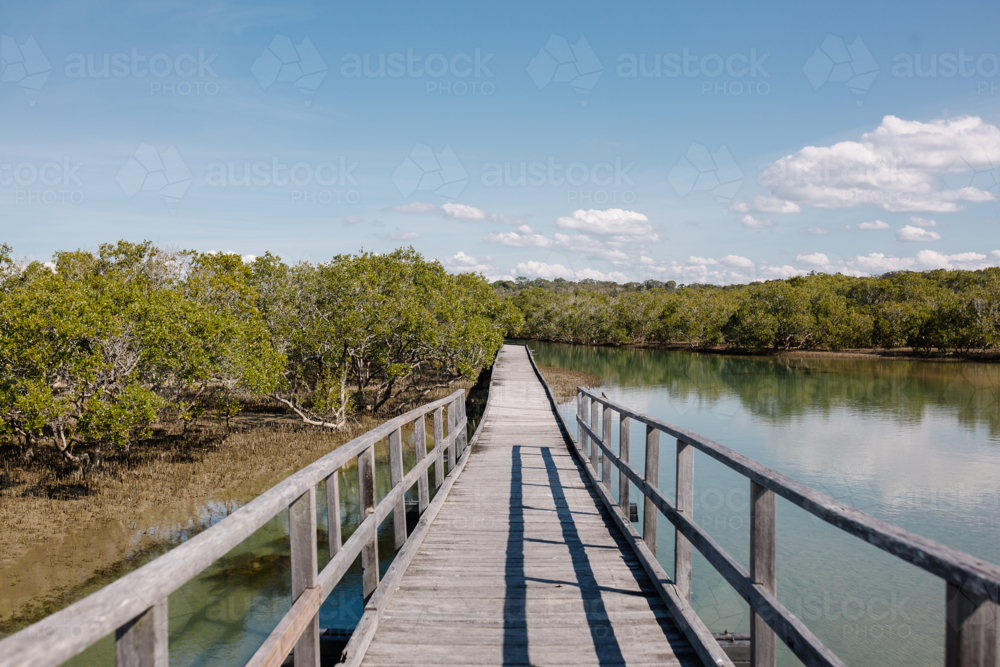 Elevated boardwalk over mangroves - Australian Stock Image