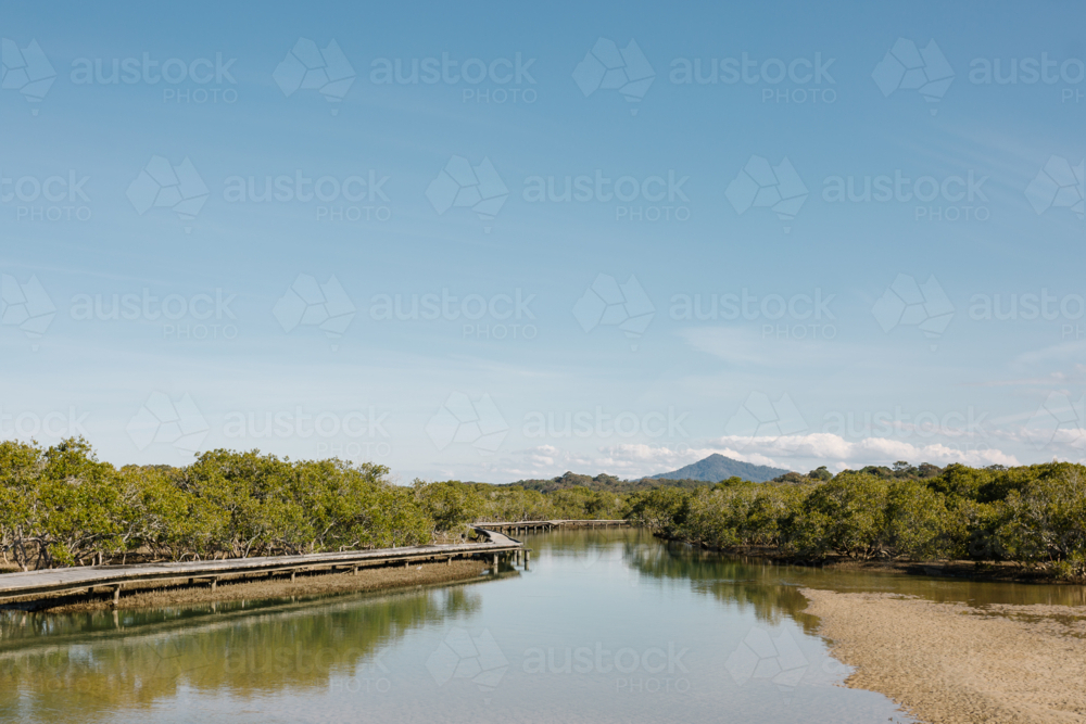 Elevated boardwalk over mangroves - Australian Stock Image