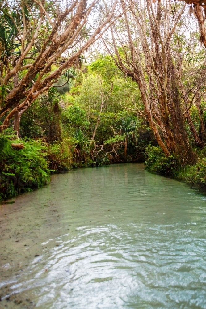 Eli Creek - Australian Stock Image