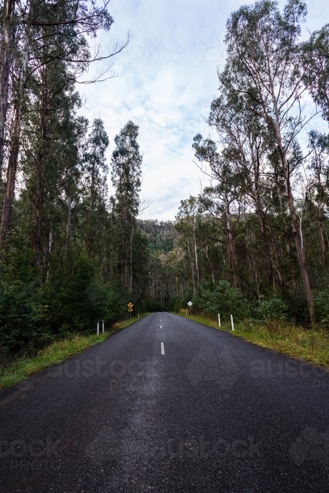 empty road in rural Australia - Australian Stock Image