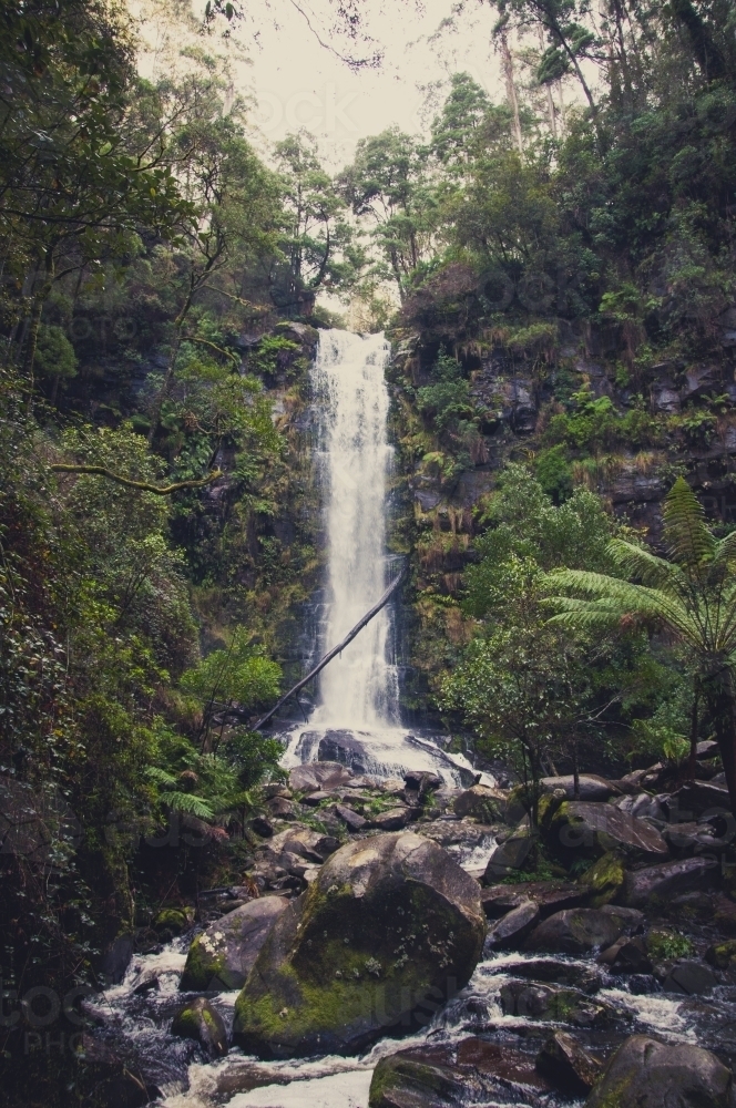 Erskine Falls, Victoria - Australian Stock Image