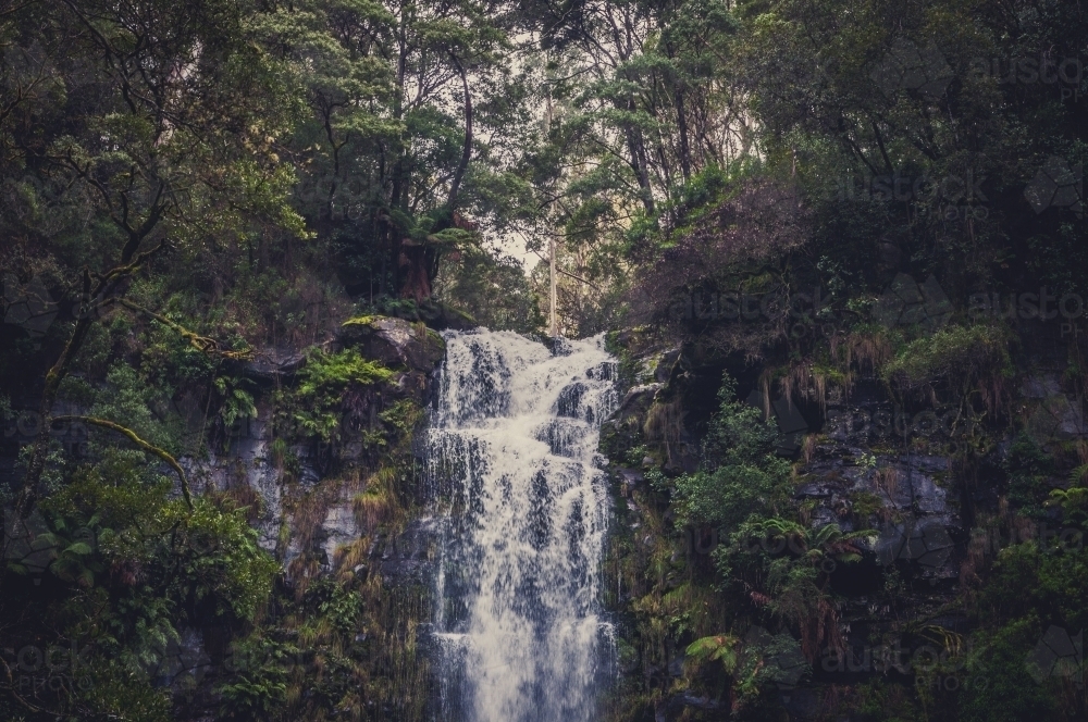 Erskine Falls, Victoria - Australian Stock Image