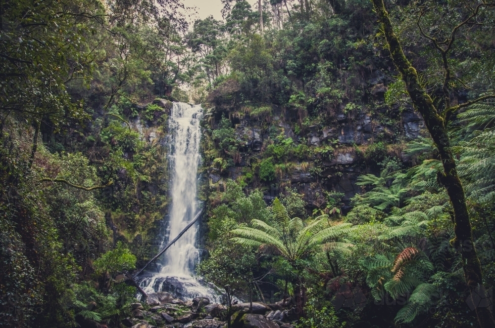 Erskine Falls, Victoria - Australian Stock Image