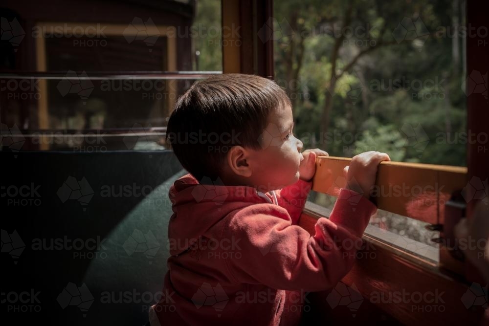 Excited 2 year old mixed race boy rides the Walhalla historic train - Australian Stock Image