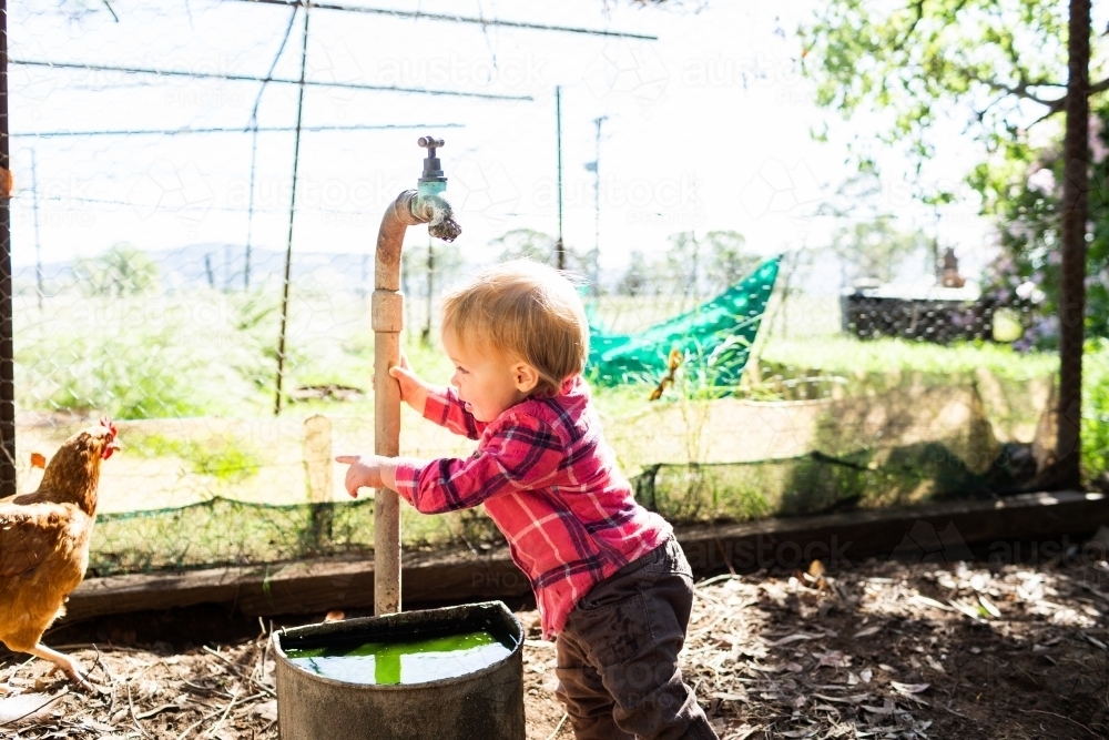 Excited country kid playing at tap in chook yard pointing at hen - Australian Stock Image