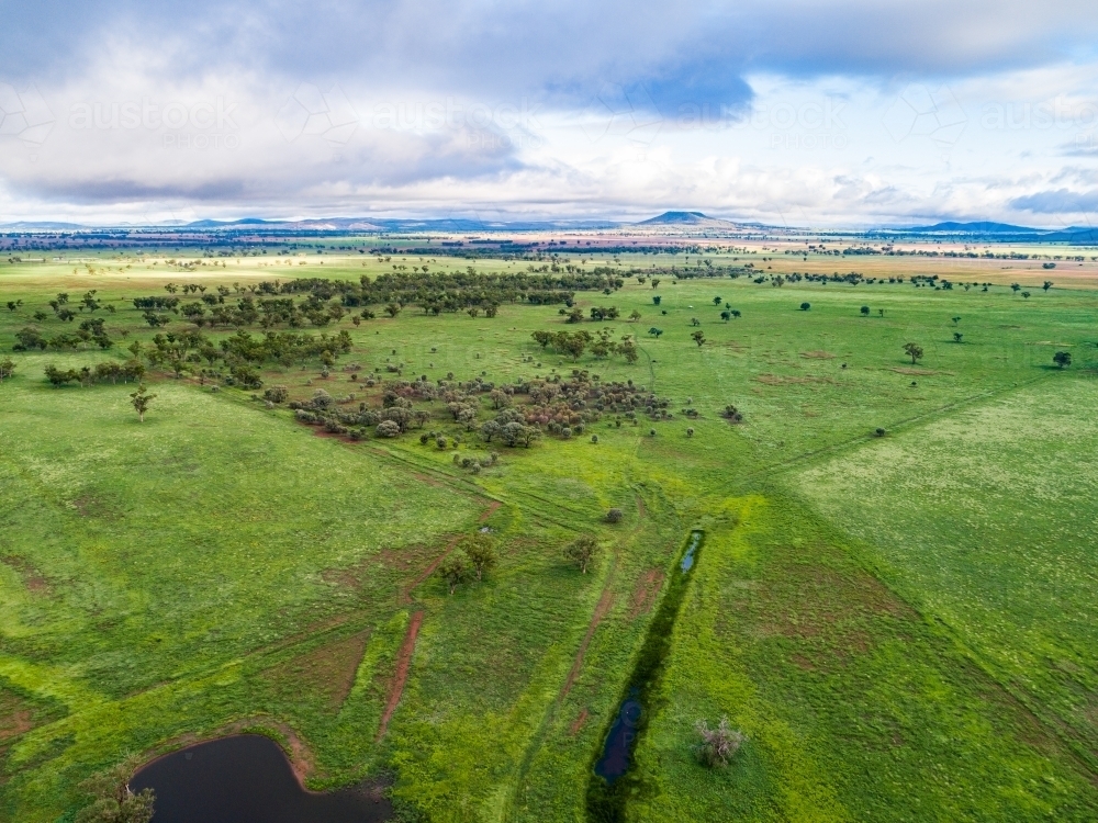 Farm dam and green paddocks after rainfall - Australian Stock Image