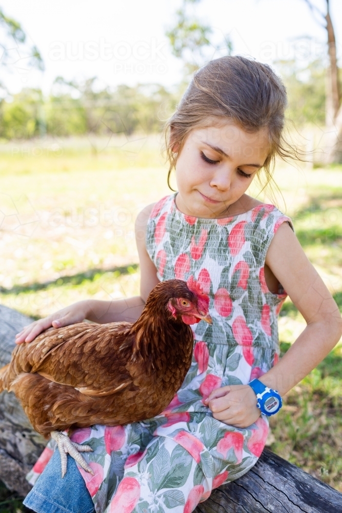 Farm girl with hen sitting on lap - country kid patting the chook - Australian Stock Image