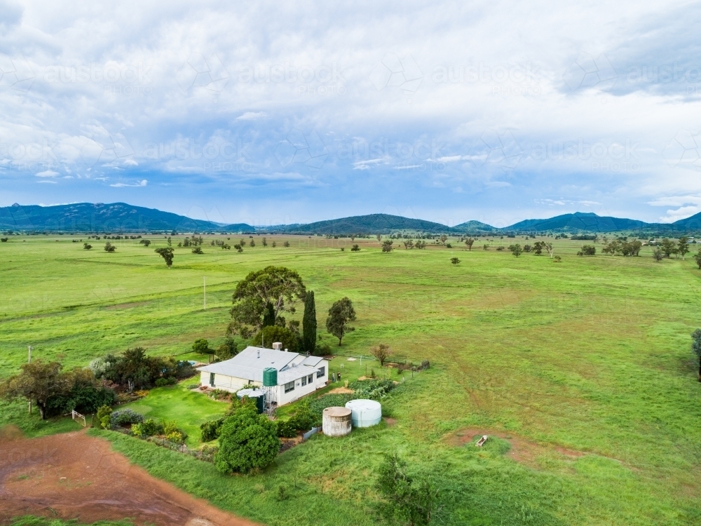 Farm house beside green paddocks of rotational grazing farm - Australian Stock Image