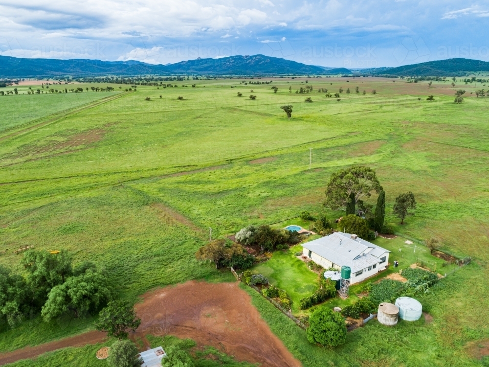 Farm house beside green paddocks of rotational grazing farm - Australian Stock Image