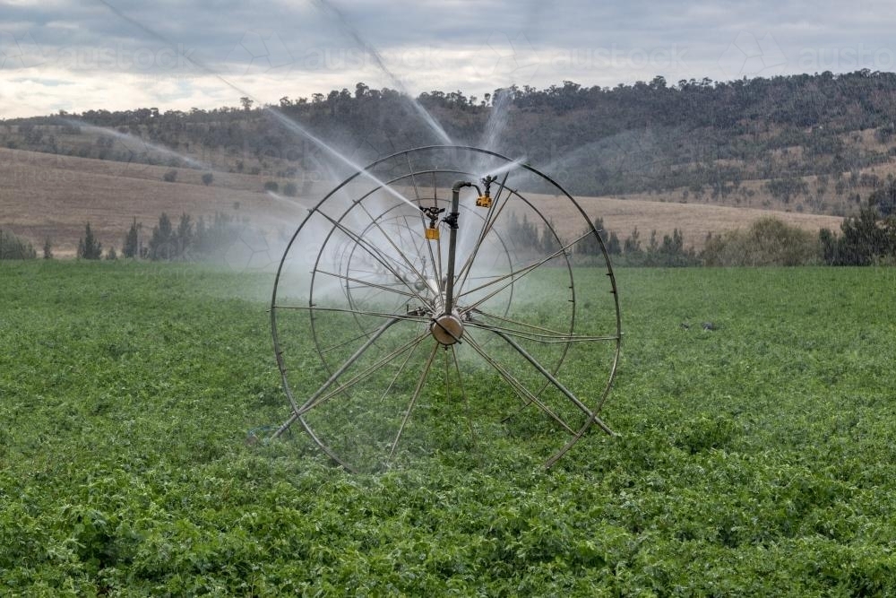 Farm Irrigation - Australian Stock Image