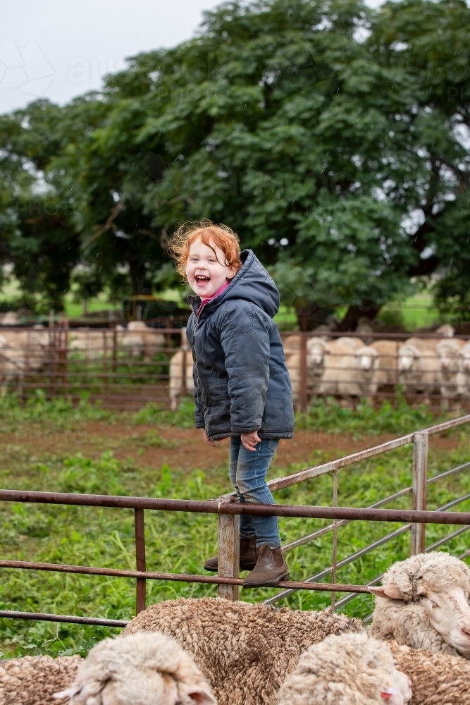 Farm kid helping in the yards - Australian Stock Image