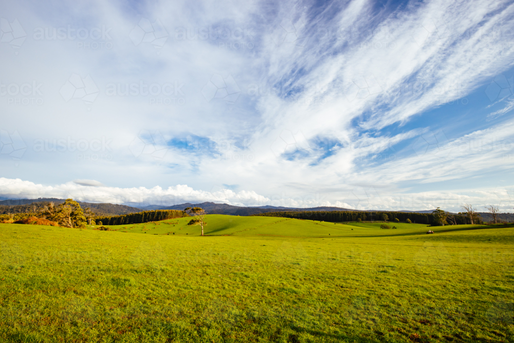 Farm landscape near sunset on a cool sunny spring day near the town of Derby in Tasmania Australia - Australian Stock Image