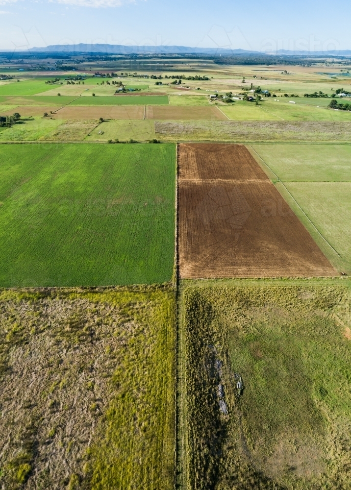 farm paddocks to horizon aerial view - Australian Stock Image