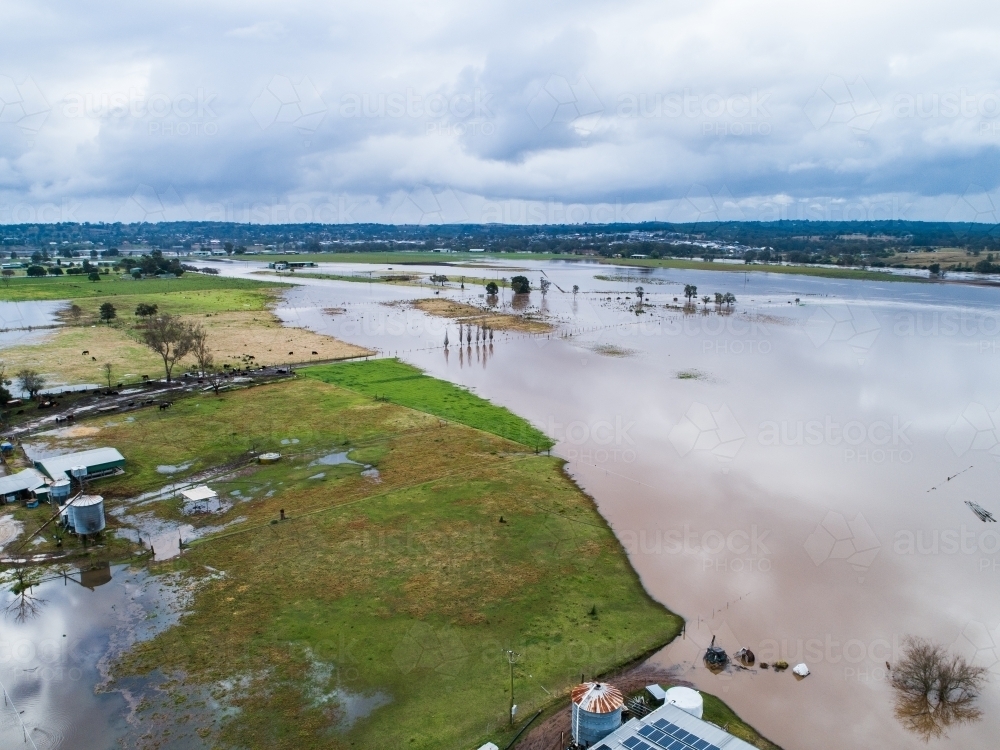 Farm paddocks with livestock and flood water rising towards cattle - Australian Stock Image