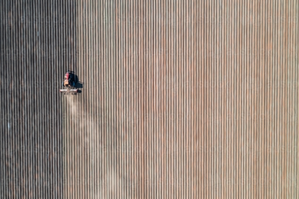 Farm vehicle moving in cotton field - Australian Stock Image