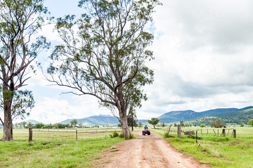 Farmer riding quad bike down farm driveway over cattle grid - Australian Stock Image