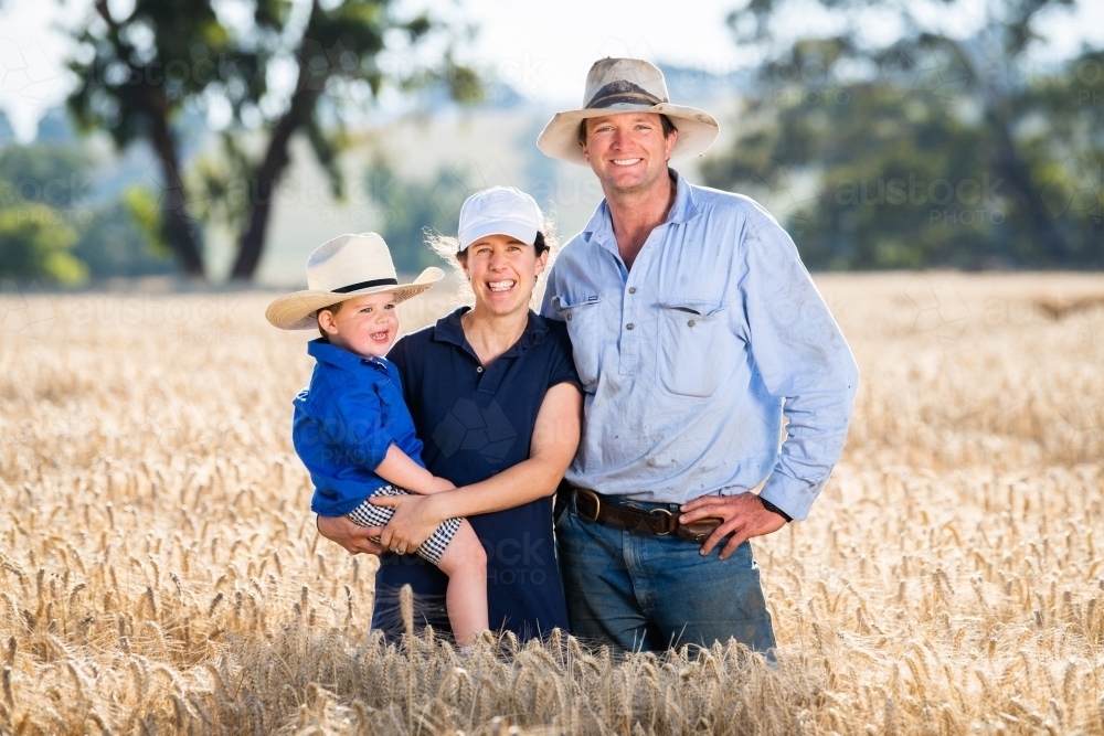 Farming family with one child in wheat crop - Australian Stock Image