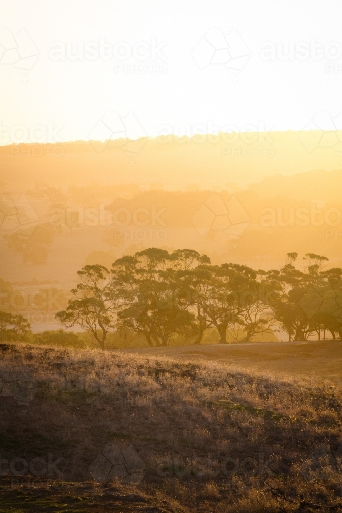 Farming landscape at sunset in the Avon Valley in Western Australia - Australian Stock Image