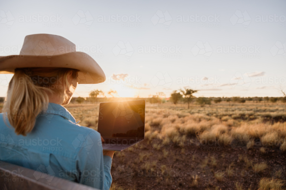 Female facing away looking at computer in a paddock at sunset - Australian Stock Image