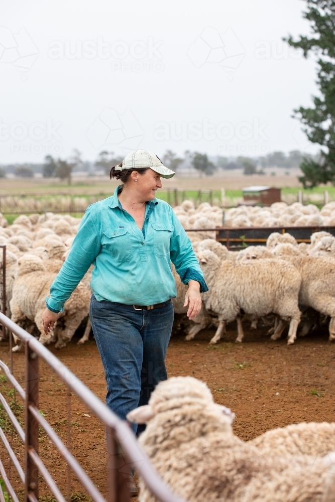 Female farmer in the sheep yards - Australian Stock Image