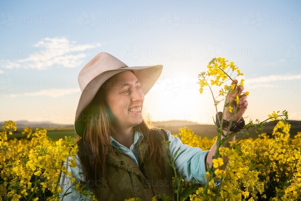 Female farmer inspects canola crop in late-afternoon light - Australian Stock Image