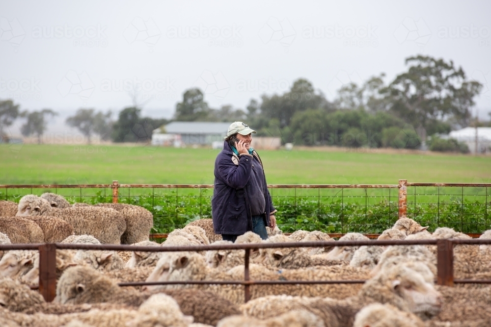 Female farmer making a phone call in the yards - Australian Stock Image