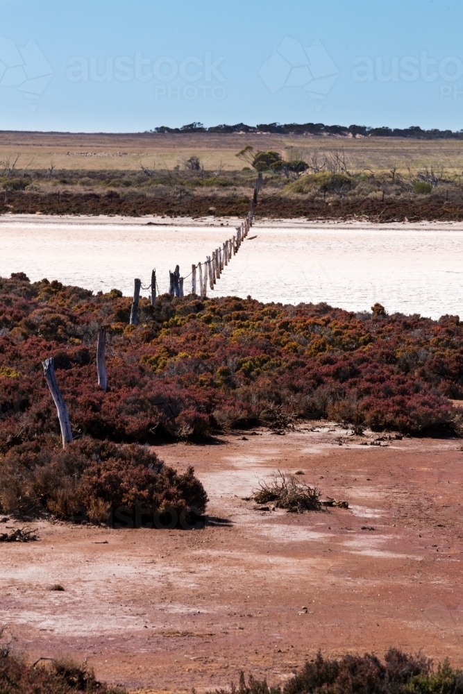 Fence through salt crusted claypan on farming land, vertical - Australian Stock Image