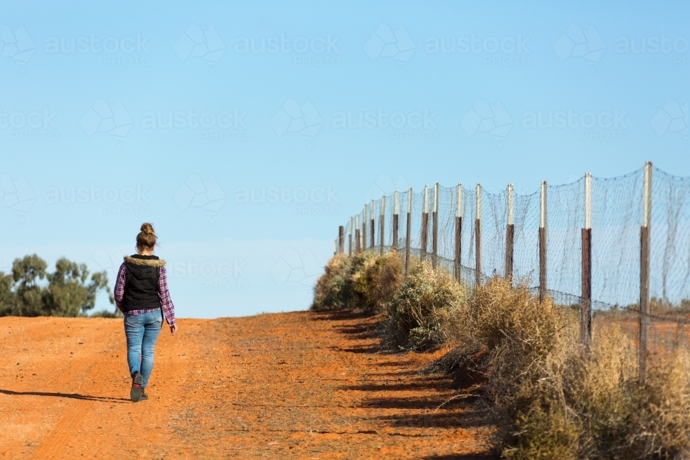 Fence to keep out wild dogs in station country - Australian Stock Image