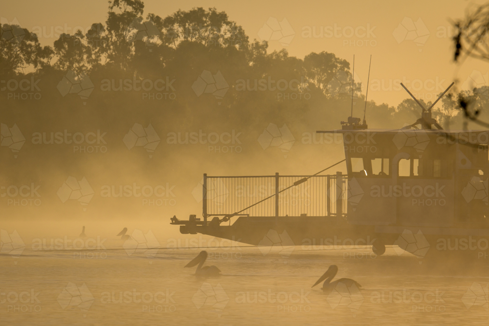 Ferry and pelicans on river at sunrise - Australian Stock Image