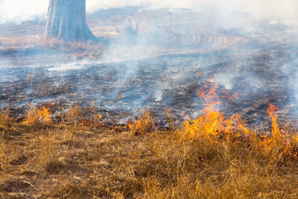 Fire burning grass - Australian Stock Image