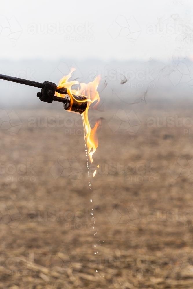 Fire lighter with flames burning dripping fuel - Australian Stock Image