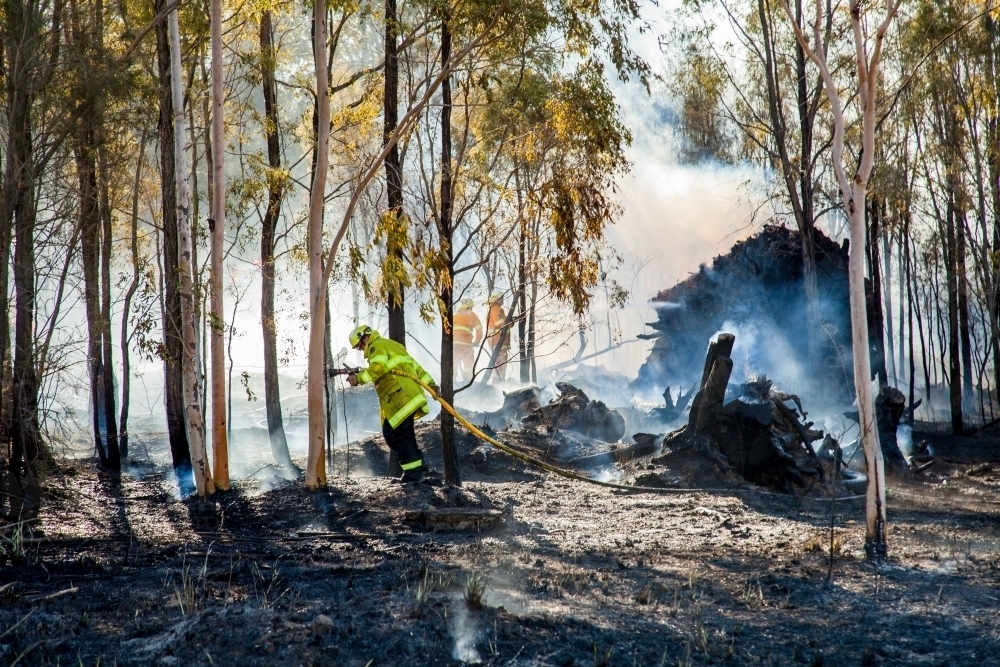 Firefighters fighting bush fire with hose among trees and smoke - Australian Stock Image