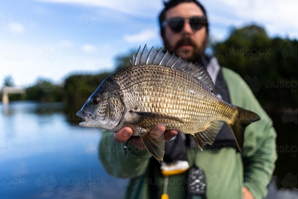 Fisherman with Beard Holding Black Bream - Australian Stock Image