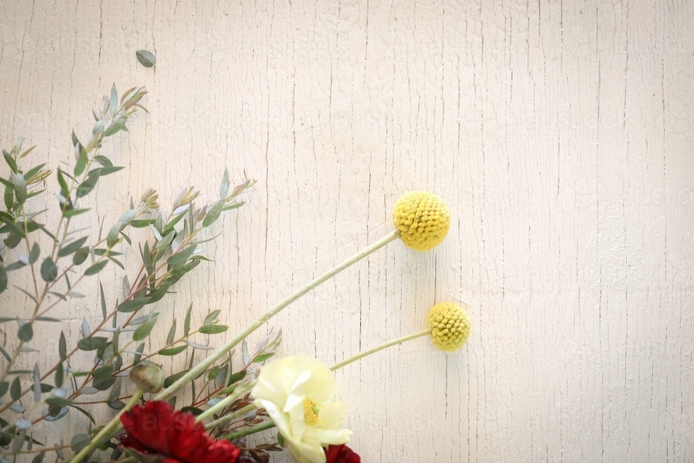 Flat lay image featuring Billy Button and Ranunculus flowers on white wood grain background - Australian Stock Image