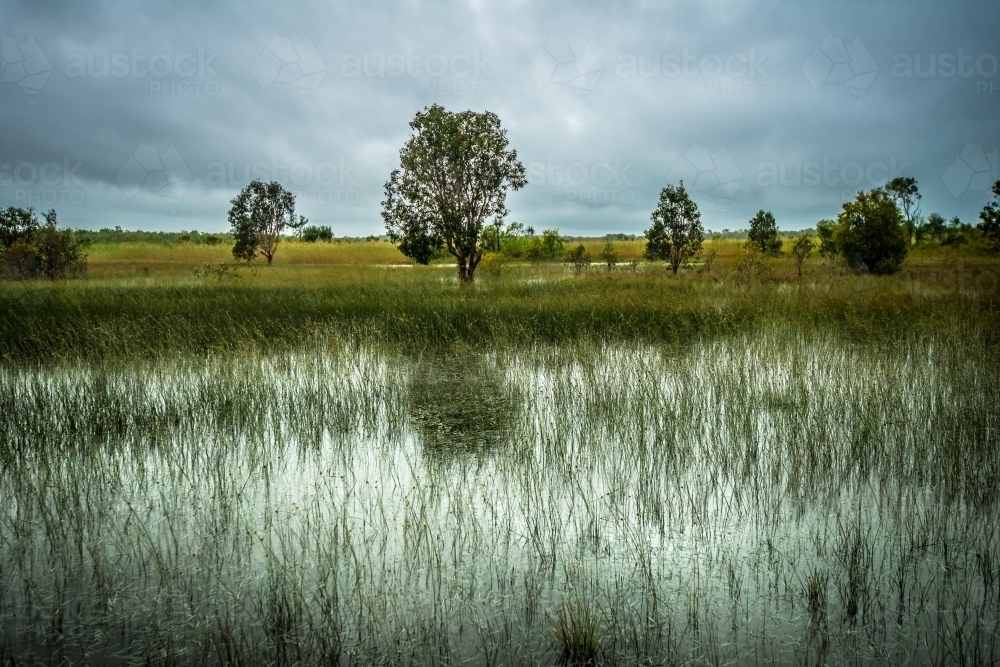 Flood plains NT - Australian Stock Image