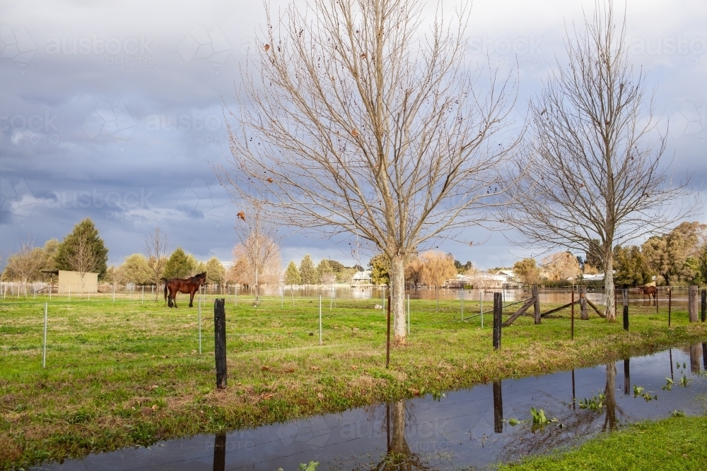 Flood water in paddock beside road at edge of town - Australian Stock Image