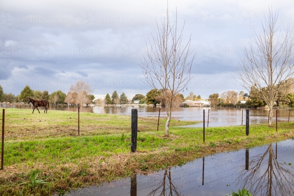 image-of-flood-water-in-paddock-beside-road-at-edge-of-town-austockphoto