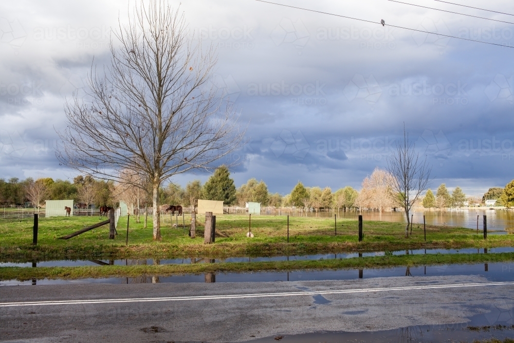 Flood water in paddock beside road at edge of town - Australian Stock Image