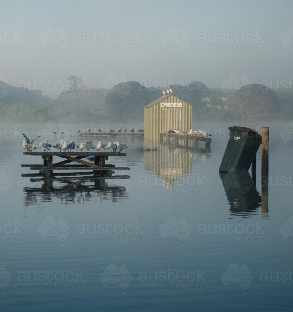 Flooded Inlet at Glenelg River, Nelson, Victoria - Australian Stock Image