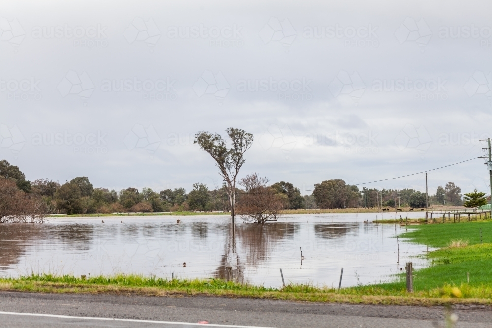 flooded paddock beside river - Australian Stock Image