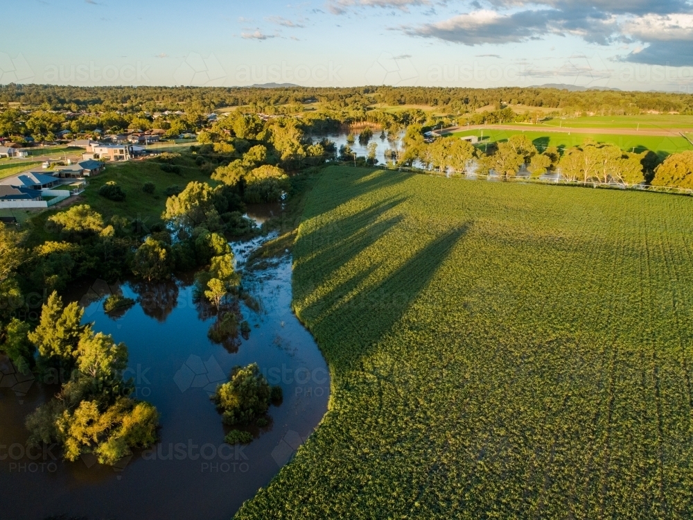 Flooding river backflowing over farm paddocks, drowning farmers crops - Australian Stock Image