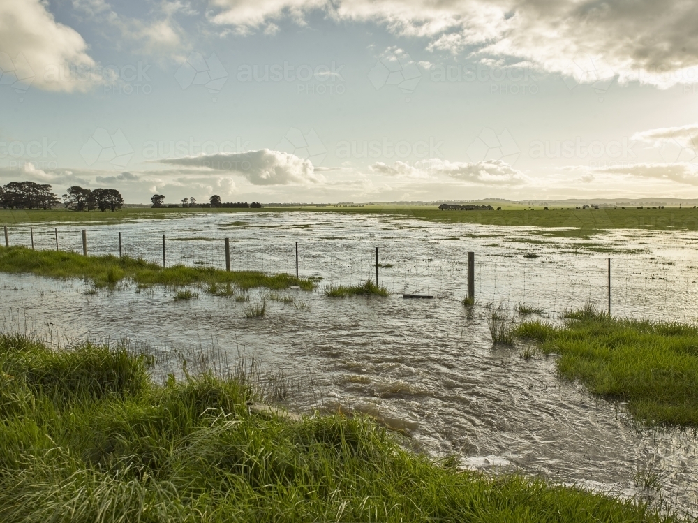 floodwaters and fence line on paddock - Australian Stock Image