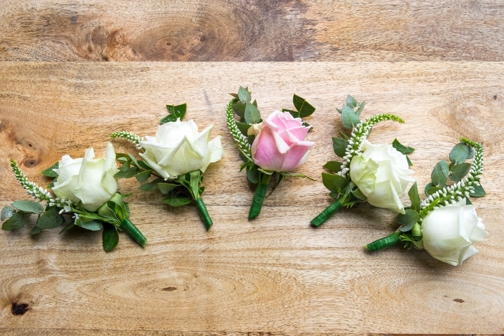 Floral buttonholes for the groom and his groomsmen - Australian Stock Image