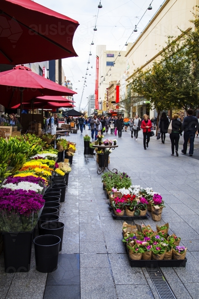 Flower stall in busy mall - Australian Stock Image