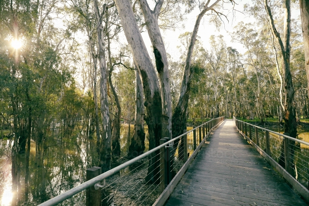 Footbridge walking trail over the Gunbower Creek at Koondrook, Victoria - Australian Stock Image